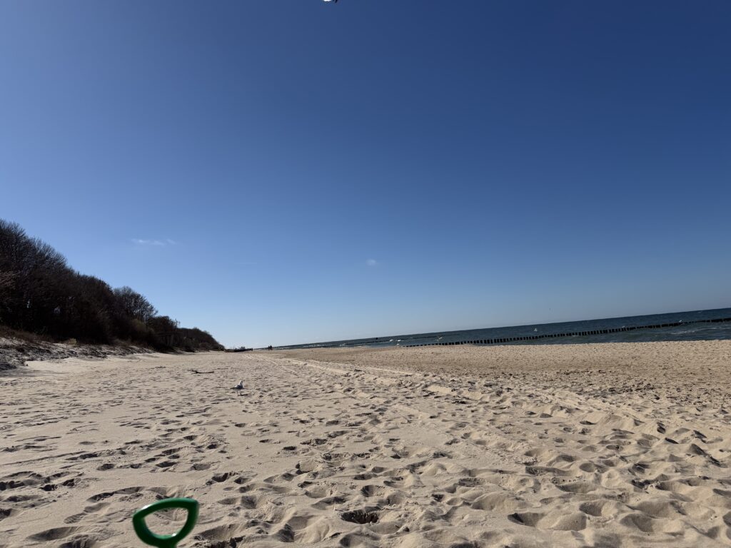 Plaza w rewalu w dniu 08.04.2026