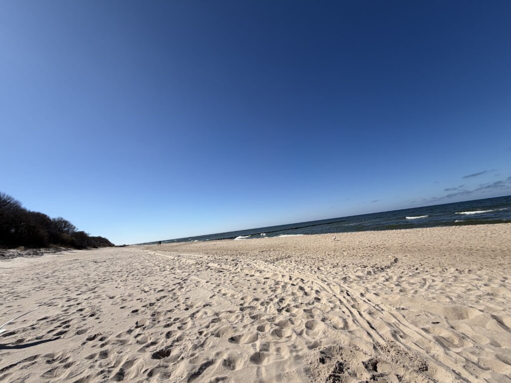 Plaza w rewalu w dniu 08.04.2026